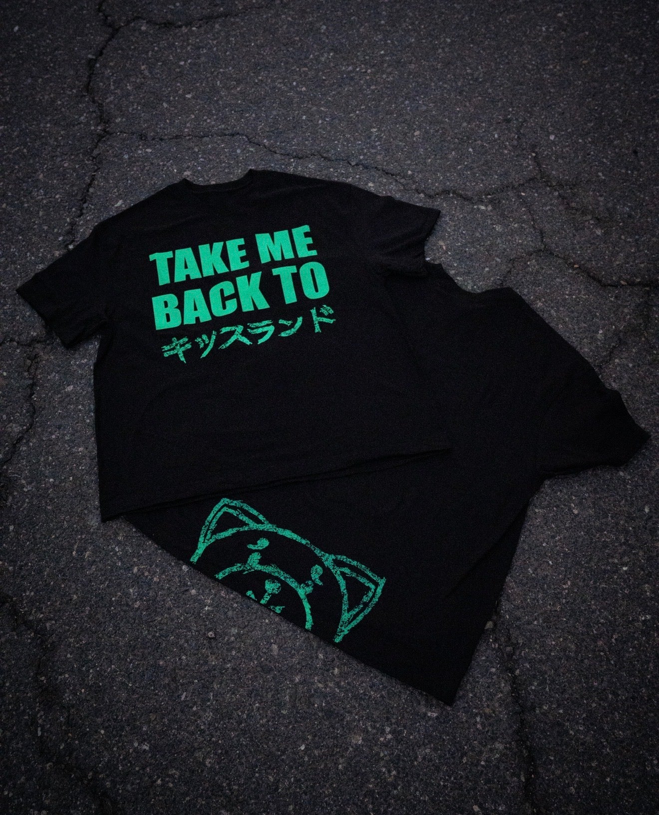 PRE ORDER: TAKE ME BACK TO KISS LAND TEE