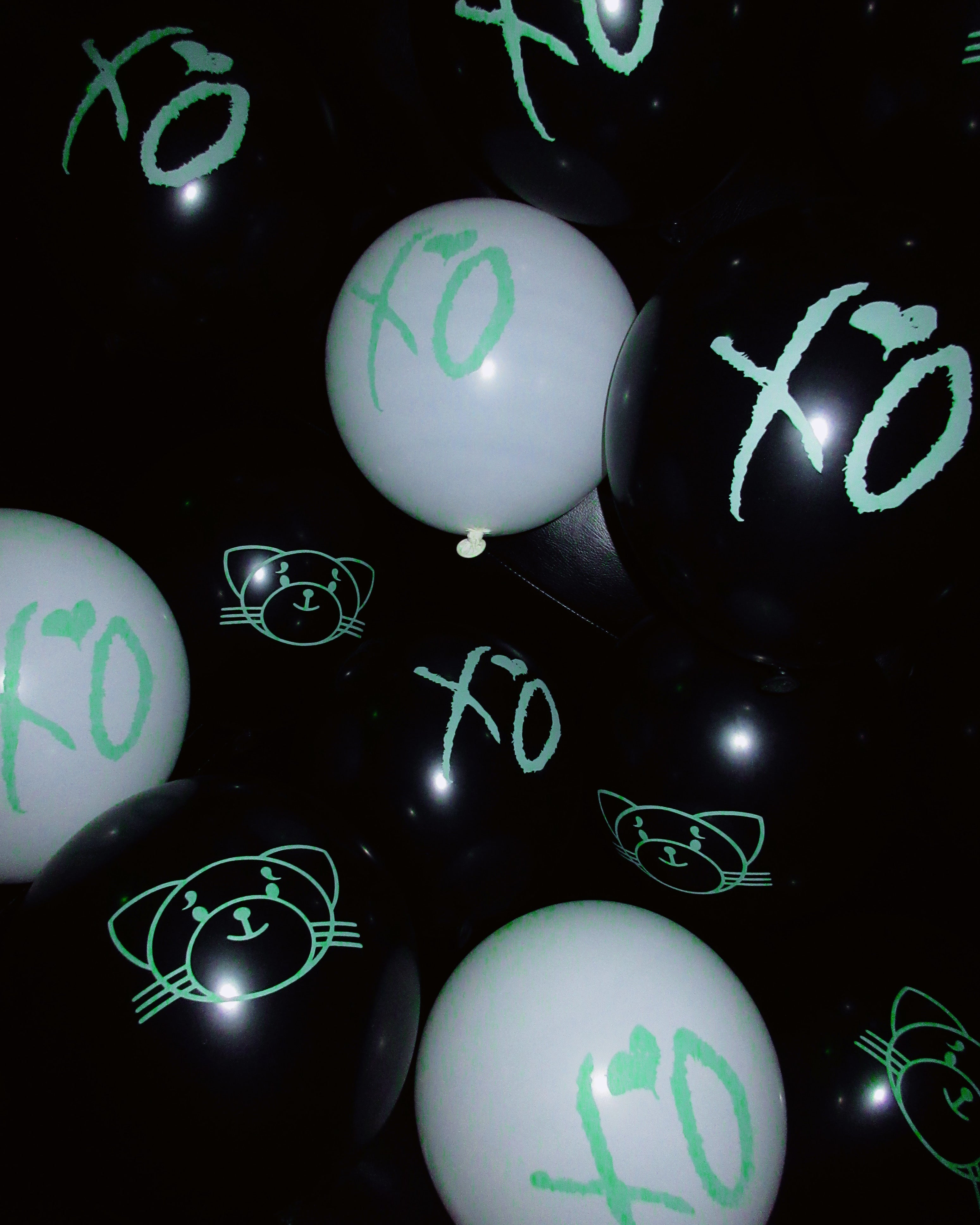 KISS LAND: 30 BALLOON SET