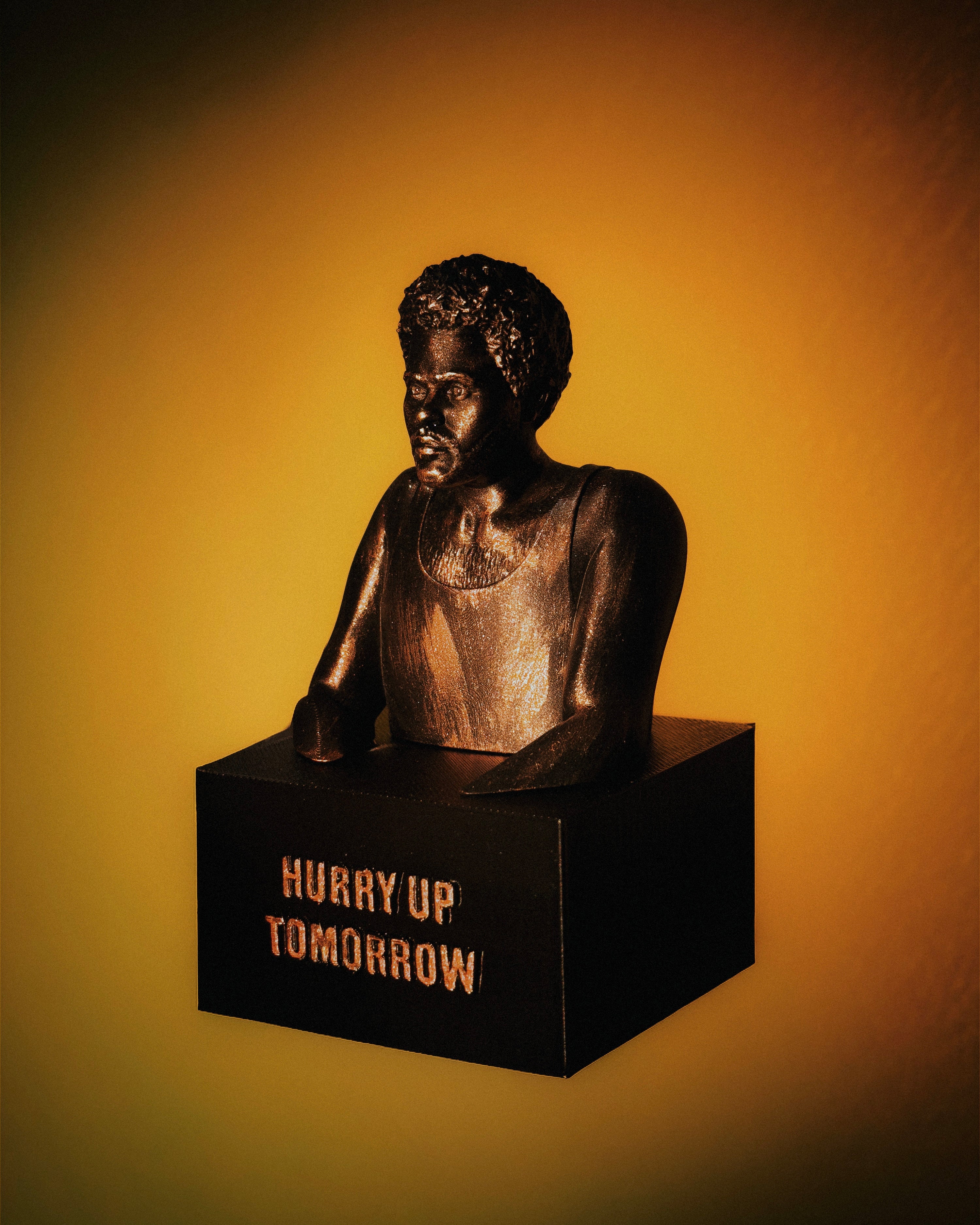 HUT: COVER STATUE